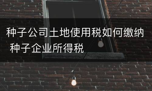 种子公司土地使用税如何缴纳 种子企业所得税