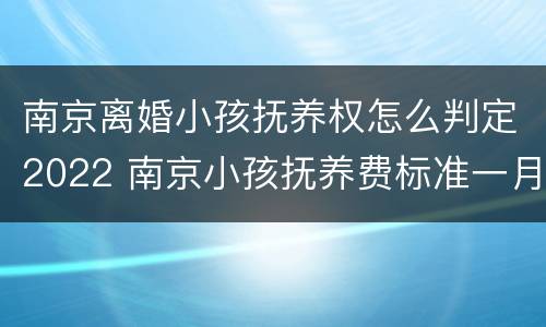 南京离婚小孩抚养权怎么判定2022 南京小孩抚养费标准一月多少钱