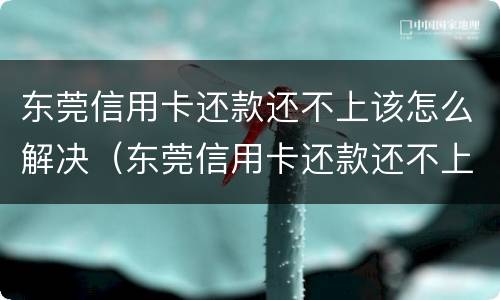 东莞信用卡还款还不上该怎么解决（东莞信用卡还款还不上该怎么解决问题）