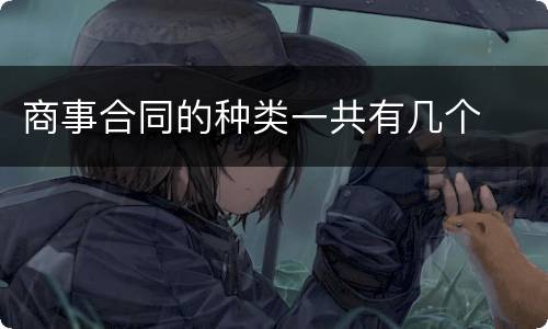 商事合同的种类一共有几个