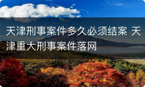 天津刑事案件多久必须结案 天津重大刑事案件落网