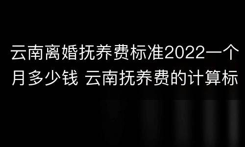 云南离婚抚养费标准2022一个月多少钱 云南抚养费的计算标准