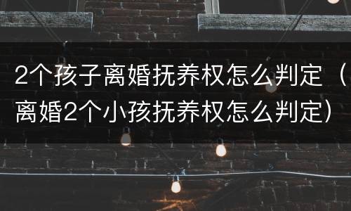 2个孩子离婚抚养权怎么判定（离婚2个小孩抚养权怎么判定）