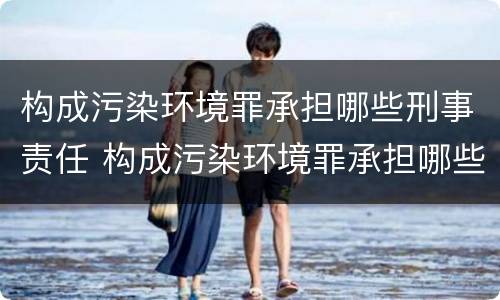 构成污染环境罪承担哪些刑事责任 构成污染环境罪承担哪些刑事责任和民事