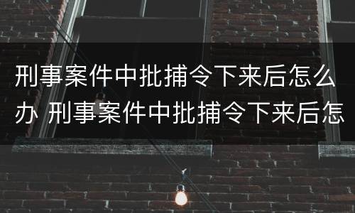 刑事案件中批捕令下来后怎么办 刑事案件中批捕令下来后怎么办呢