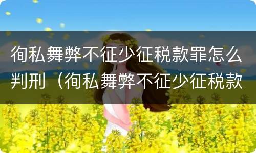 徇私舞弊不征少征税款罪怎么判刑（徇私舞弊不征少征税款罪怎么判刑的）