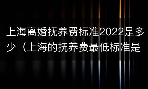 上海离婚抚养费标准2022是多少（上海的抚养费最低标准是多少）