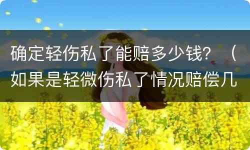 确定轻伤私了能赔多少钱？（如果是轻微伤私了情况赔偿几万）