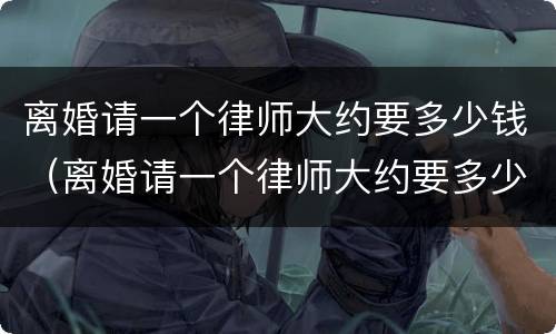 离婚请一个律师大约要多少钱（离婚请一个律师大约要多少钱费用）