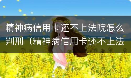 精神病信用卡还不上法院怎么判刑（精神病信用卡还不上法院会怎么判）