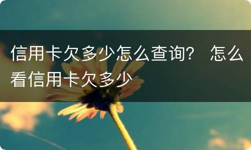信用卡欠多少怎么查询？ 怎么看信用卡欠多少