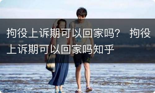 拘役上诉期可以回家吗？ 拘役上诉期可以回家吗知乎