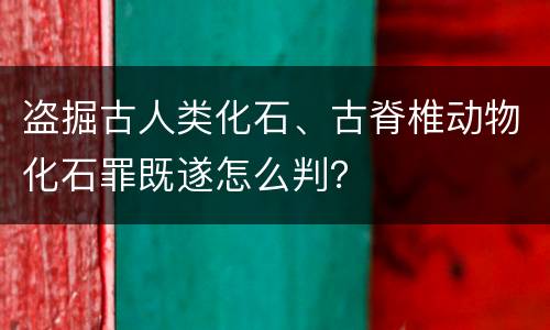 盗掘古人类化石、古脊椎动物化石罪既遂怎么判？