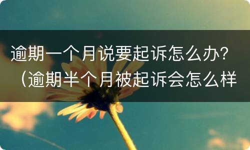 逾期一个月说要起诉怎么办？（逾期半个月被起诉会怎么样）