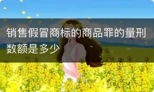 销售假冒商标的商品罪的量刑数额是多少