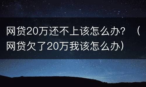 网贷20万还不上该怎么办？（网贷欠了20万我该怎么办）