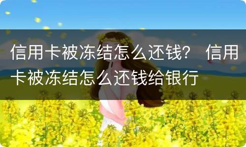 信用卡被冻结怎么还钱？ 信用卡被冻结怎么还钱给银行