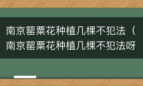 南京罂粟花种植几棵不犯法（南京罂粟花种植几棵不犯法呀）
