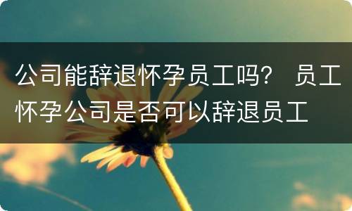 公司能辞退怀孕员工吗？ 员工怀孕公司是否可以辞退员工