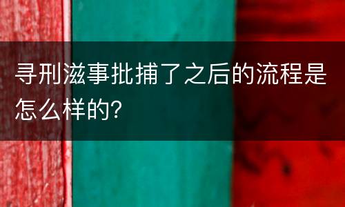 寻刑滋事批捕了之后的流程是怎么样的？