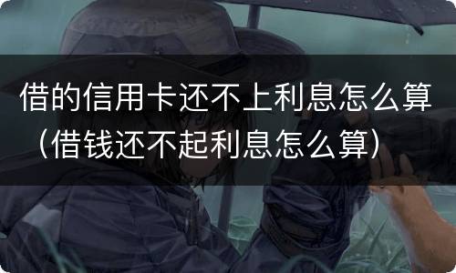 借的信用卡还不上利息怎么算（借钱还不起利息怎么算）