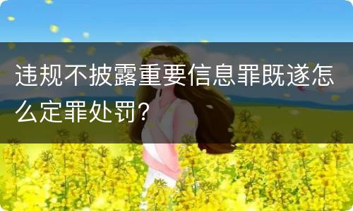 违规不披露重要信息罪既遂怎么定罪处罚？