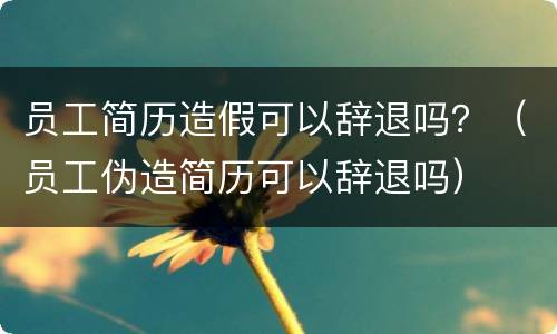 员工简历造假可以辞退吗？（员工伪造简历可以辞退吗）