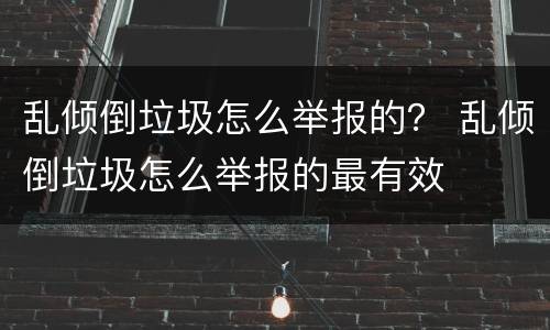 乱倾倒垃圾怎么举报的？ 乱倾倒垃圾怎么举报的最有效