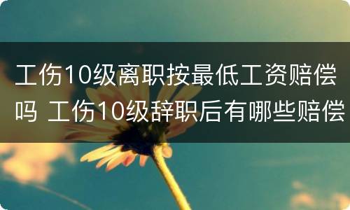 工伤10级离职按最低工资赔偿吗 工伤10级辞职后有哪些赔偿