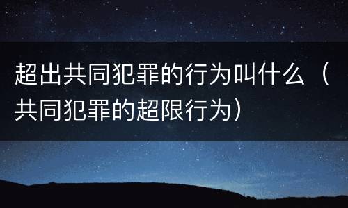 超出共同犯罪的行为叫什么（共同犯罪的超限行为）