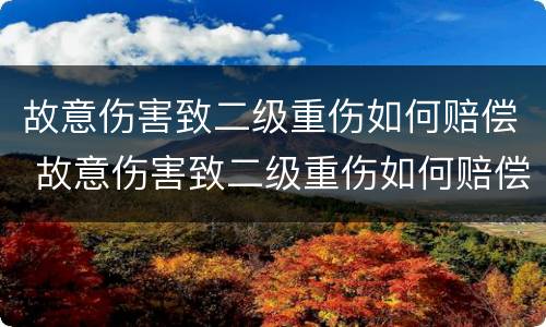 故意伤害致二级重伤如何赔偿 故意伤害致二级重伤如何赔偿多少钱