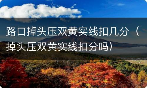 路口掉头压双黄实线扣几分（掉头压双黄实线扣分吗）