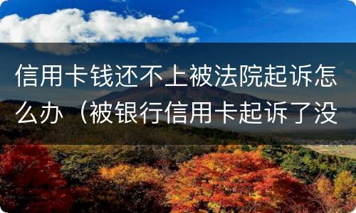 信用卡钱还不上被法院起诉怎么办（被银行信用卡起诉了没有钱还怎么办）