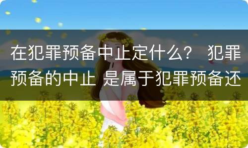 在犯罪预备中止定什么？ 犯罪预备的中止 是属于犯罪预备还是犯罪中止