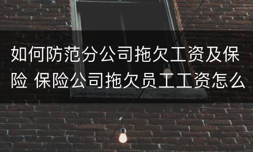 如何防范分公司拖欠工资及保险 保险公司拖欠员工工资怎么弄