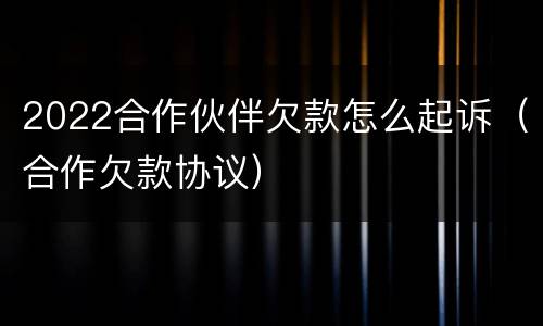 2022合作伙伴欠款怎么起诉（合作欠款协议）