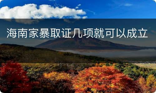 海南家暴取证几项就可以成立