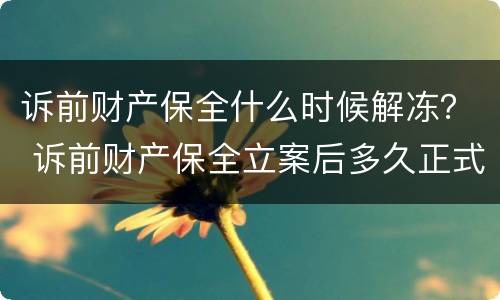 诉前财产保全什么时候解冻？ 诉前财产保全立案后多久正式立案