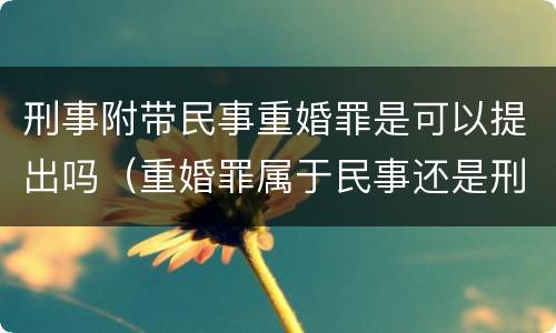 刑事附带民事重婚罪是可以提出吗（重婚罪属于民事还是刑事）