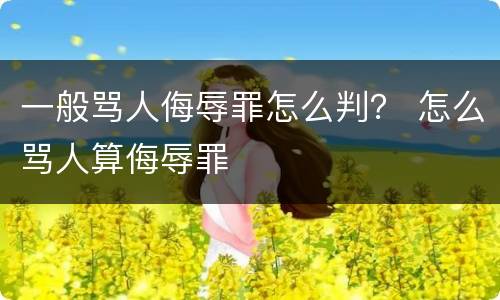 一般骂人侮辱罪怎么判？ 怎么骂人算侮辱罪