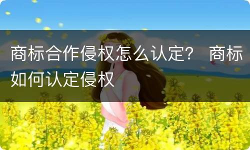 商标合作侵权怎么认定？ 商标如何认定侵权