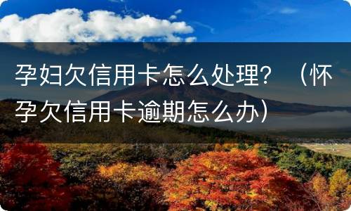 孕妇欠信用卡怎么处理？（怀孕欠信用卡逾期怎么办）