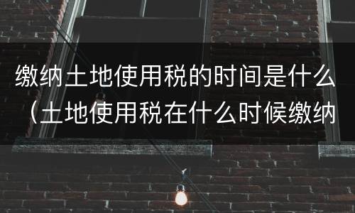 缴纳土地使用税的时间是什么（土地使用税在什么时候缴纳）