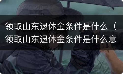 领取山东退休金条件是什么（领取山东退休金条件是什么意思）