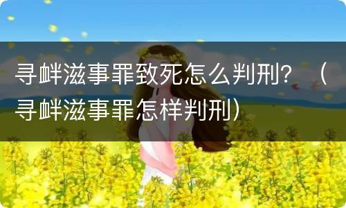寻衅滋事罪致死怎么判刑？（寻衅滋事罪怎样判刑）