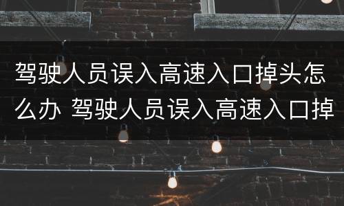 驾驶人员误入高速入口掉头怎么办 驾驶人员误入高速入口掉头怎么办呢