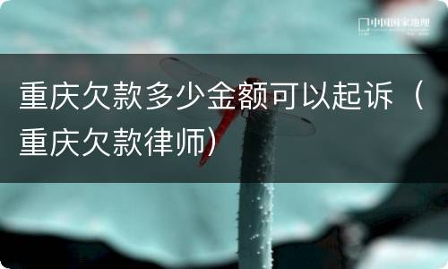 重庆欠款多少金额可以起诉（重庆欠款律师）