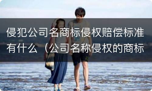 侵犯公司名商标侵权赔偿标准有什么（公司名称侵权的商标 可以注册成功吗）