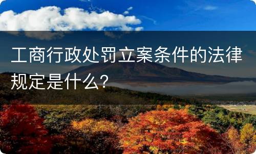 工商行政处罚立案条件的法律规定是什么？