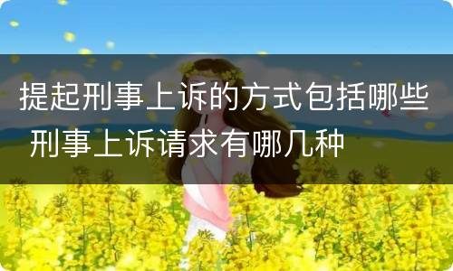 提起刑事上诉的方式包括哪些 刑事上诉请求有哪几种